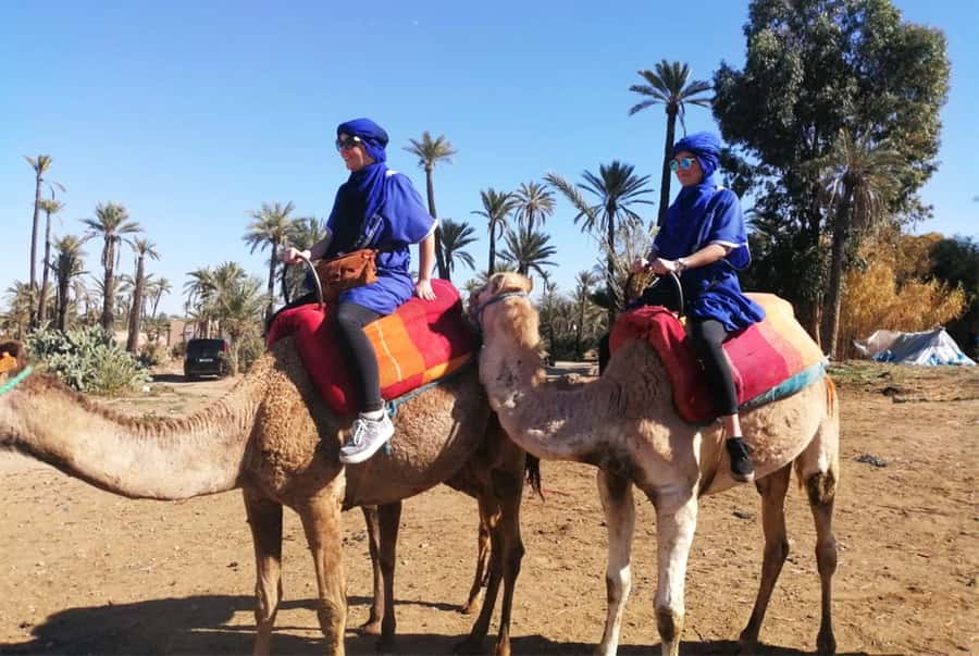 Marrakech Palmeraie: Camel Ride & Quad Bike Experience - From Marrakech to the Palmeraie in a comfortable minibus