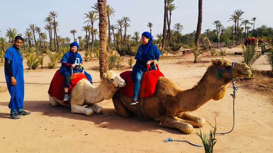 Marrakech Palmeraie: Camel Ride & Quad Bike Experience - The quad bikes bring the real burst of speed