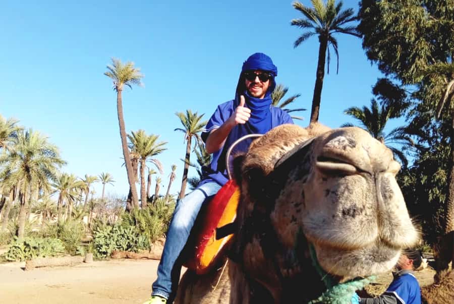 Marrakech Palmeraie: Camel Ride & Quad Bike Experience - Who should book this Palmeraie outing?