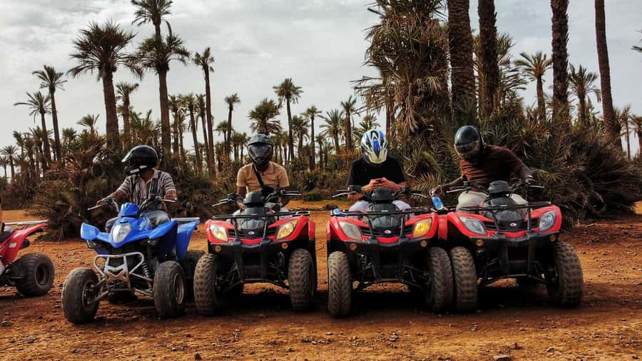 Marrakech: Palmeraie Guided Quad Biking Tour with Tea - Who should book this quad tour?