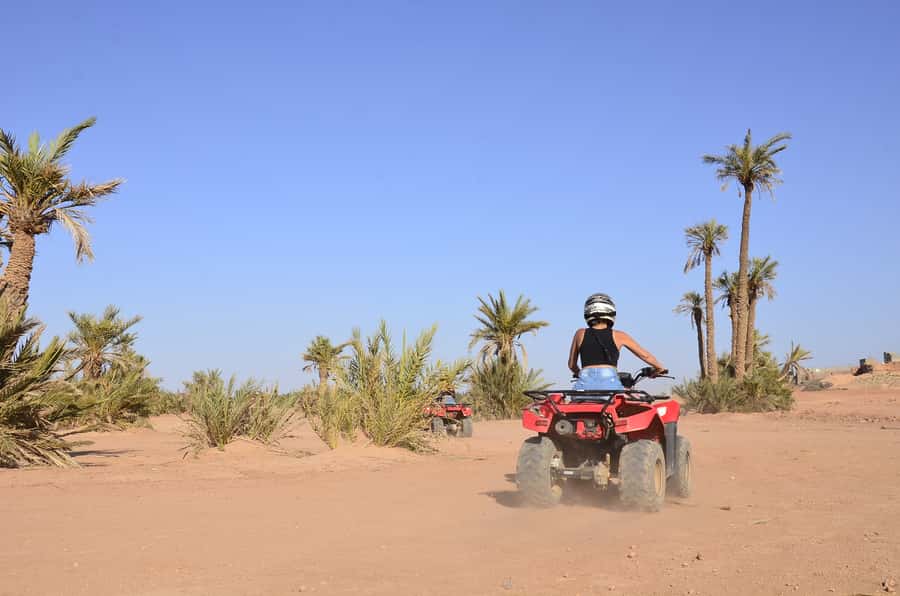 Marrakech: Palmeraie Guided Quad Tour with Tea Break - Mint tea, bread, and a 15-minute pause