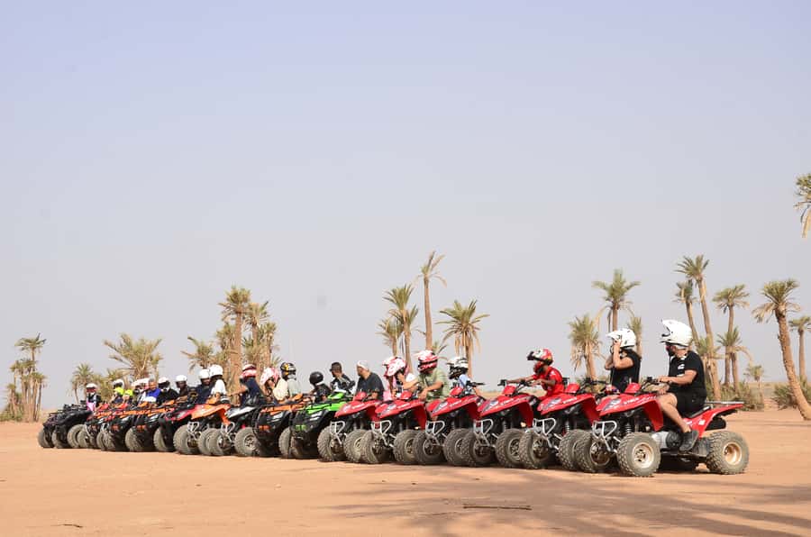 Marrakech: Palmeraie Guided Quad Tour with Tea Break - Is $21 good value?