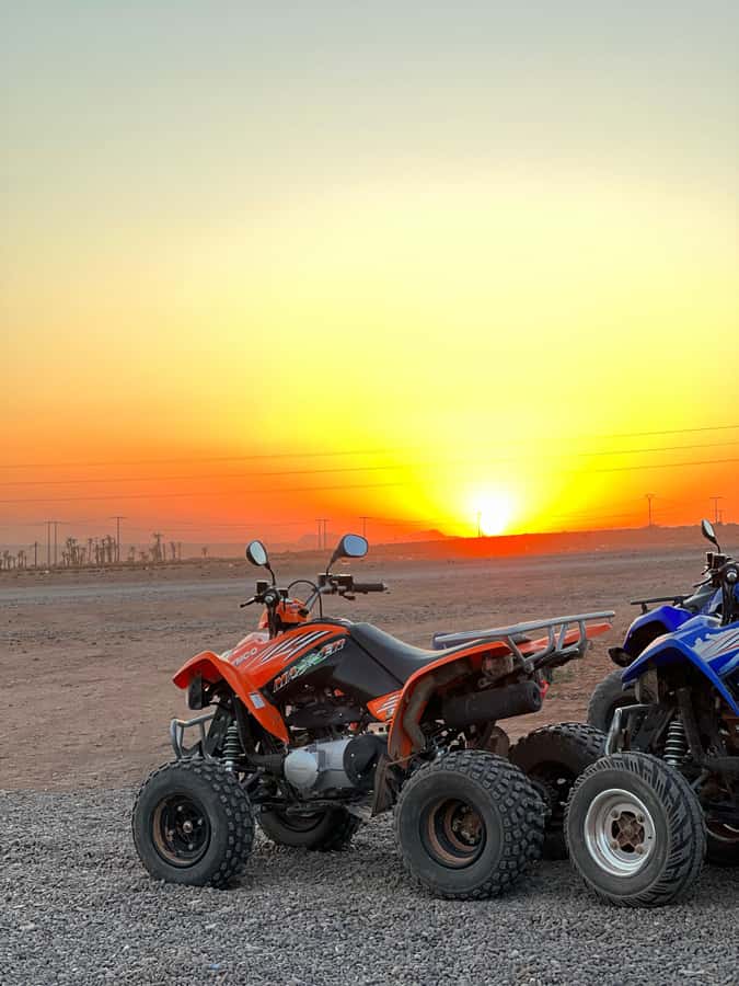 Marrakech: Palmeraie Private Quad Bike Experience - Heat, safety, and small practical details