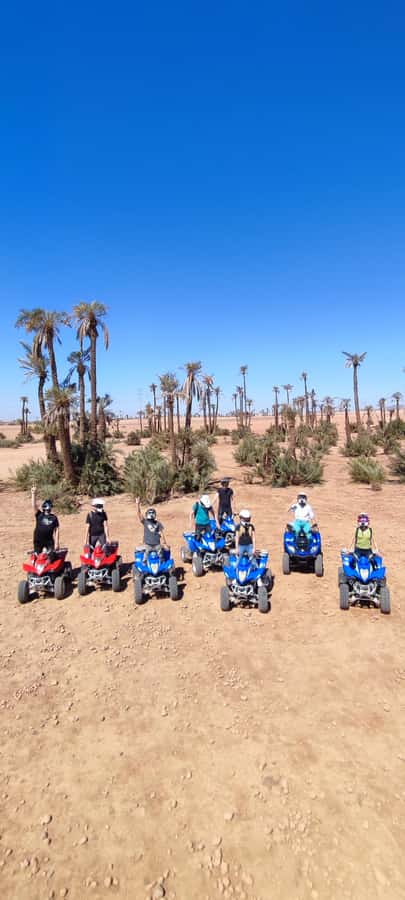 Marrakech: Palmeraie Private Quad Bike Experience - Who will enjoy this Palmeraie ride most?