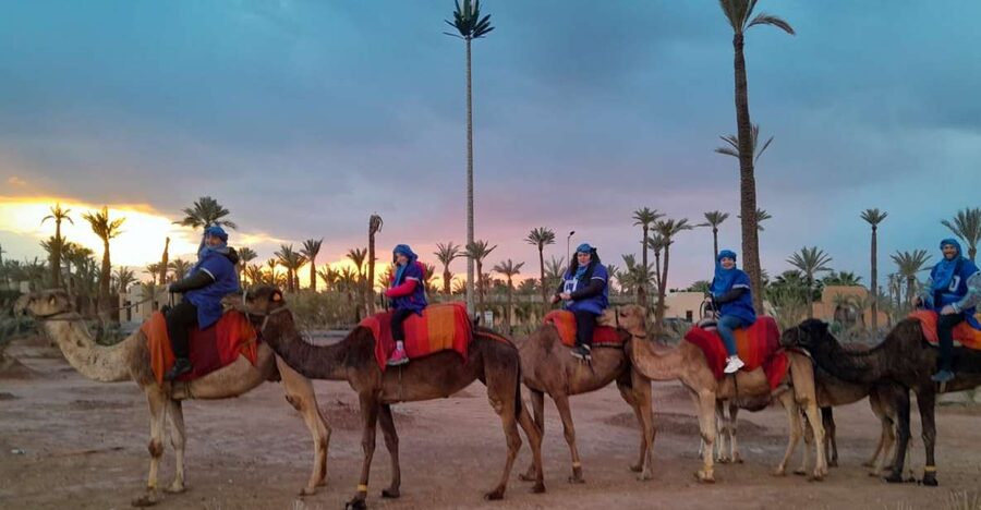 Marrakech: Private Palm Grove Camel and Quad Bike Ride - Two Hours on a Quad Bike