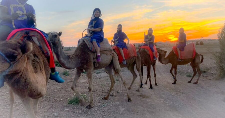 Marrakech: Private Palm Grove Camel and Quad Bike Ride - Why Sunset Changes the Experience