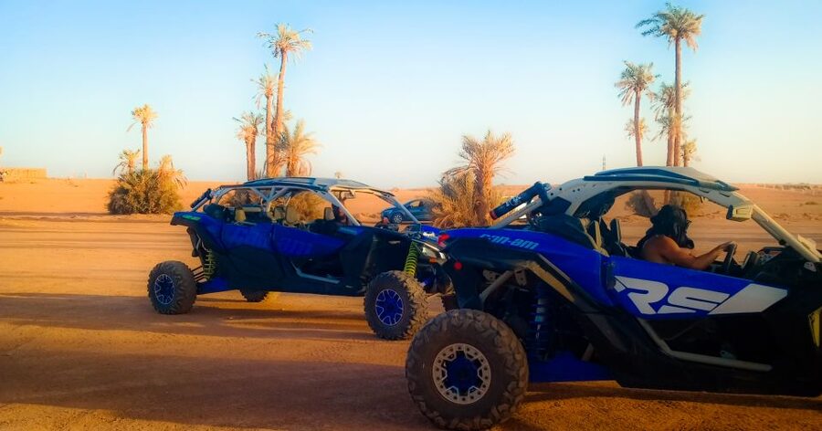 Marrakech: Private Palm Grove Camel and Quad Bike Ride - Comfort, Age Rules, and Who Should Book
