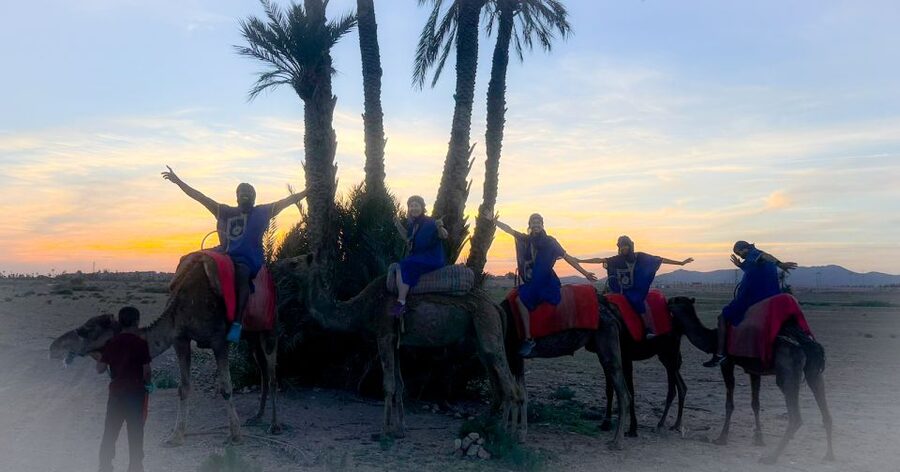Marrakech: Private Palm Grove Camel and Quad Bike Ride - Should You Book This Palm Grove Outing?