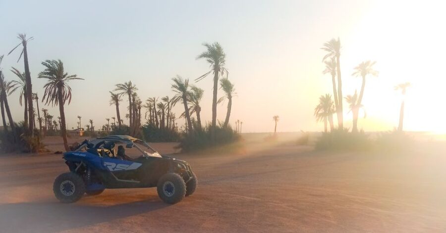 Marrakech: Private Palm Grove Camel and Quad Bike Ride - Berber Tea in a Local Home