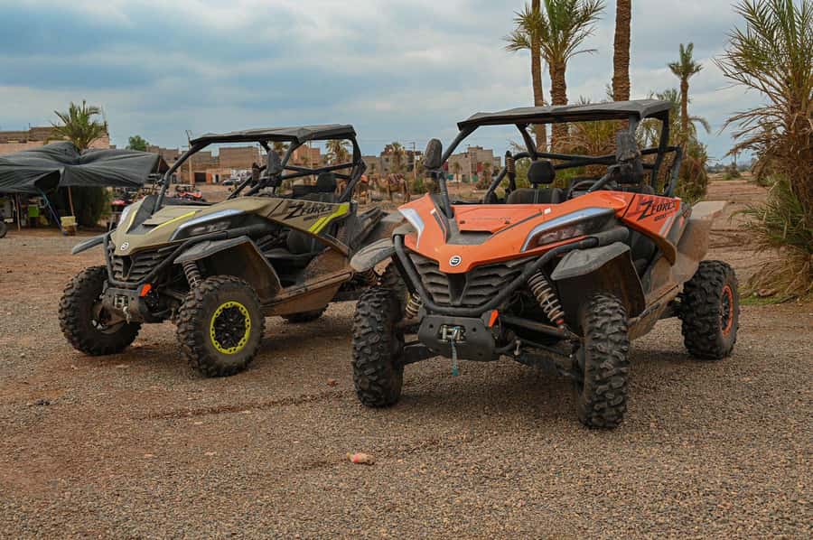 Marrakech: Quad bike adventure in the desert with views of the Palmeraie - Should you book the Palmeraie quad adventure?