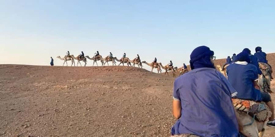 Marrakech: Quad Bike and Camel, Dinner Show in Agafay Desert - A 20-minute camel ride at sunset