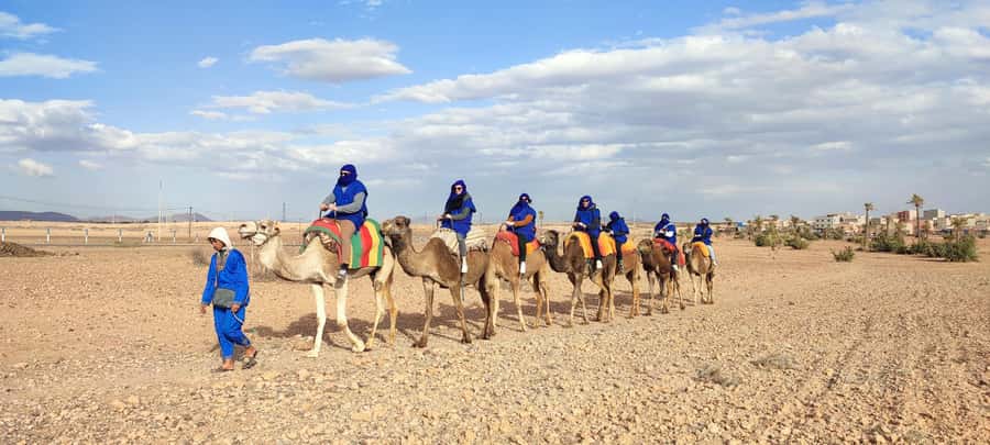 Marrakech: quad bike and Camel Ride in Marrakech - Why the Palmeraie makes a good half-day escape