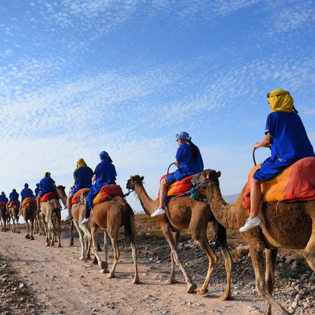 Marrakech: quad bike and Camel Ride in Marrakech - What the $28 price really includes