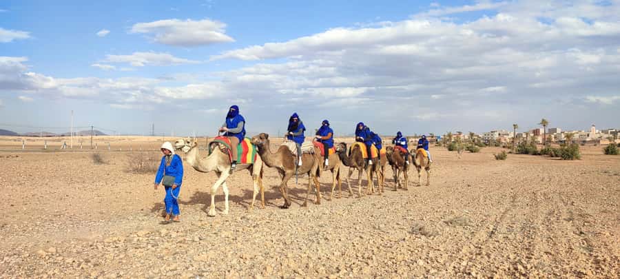 Marrakech: quad bike and Camel Ride in Marrakech - Two hours of quad biking through the palms