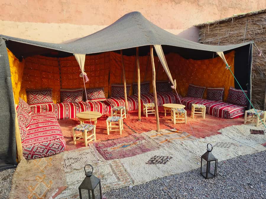 Marrakech: Quad Bike and Camel Ride Tour - Riding through palm groves and Berber villages