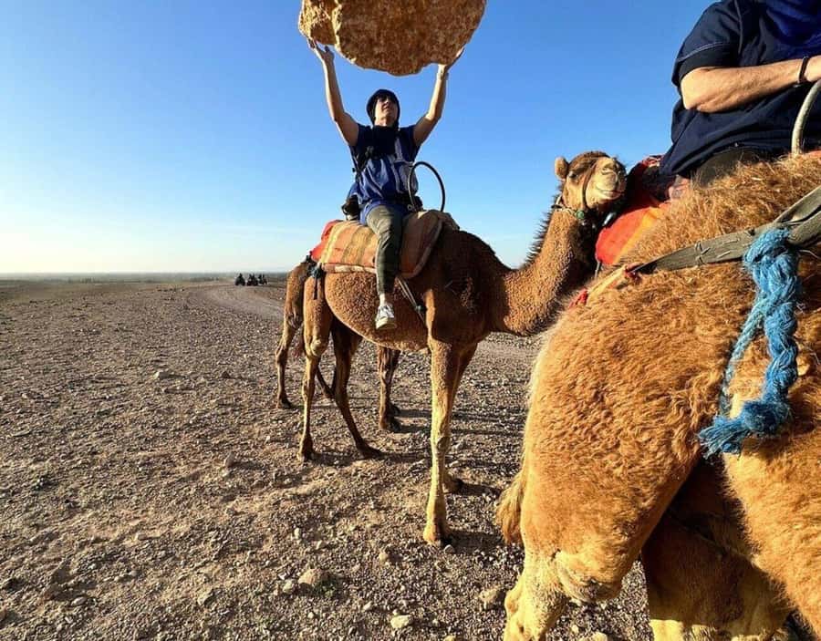 Marrakech : Quad Bike and Camel Ride with dinner in Agafay - Forty minutes on a shared quad