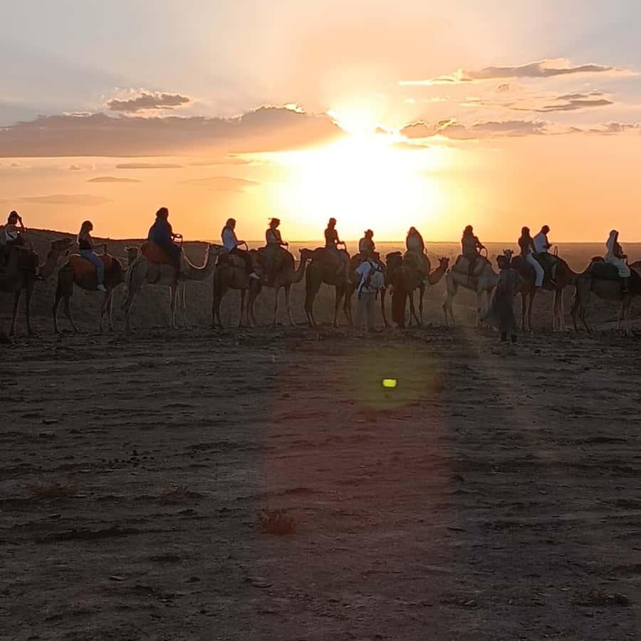 Marrakech: Quad Bike & Camel with dinner show & sunset - Why Agafay works for a short desert escape