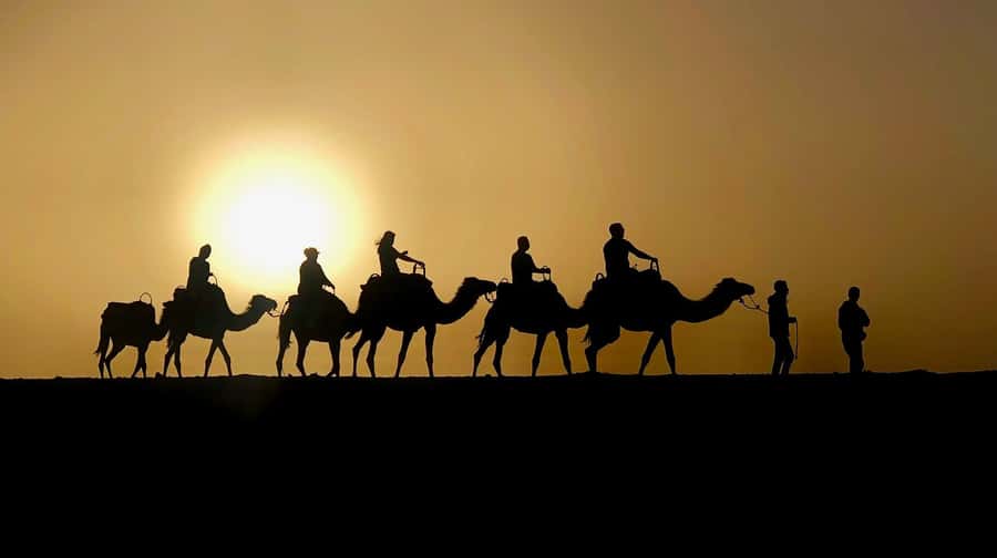 Marrakech: Quad Bike & Camel with dinner show & sunset - Camel clothing and the first ride