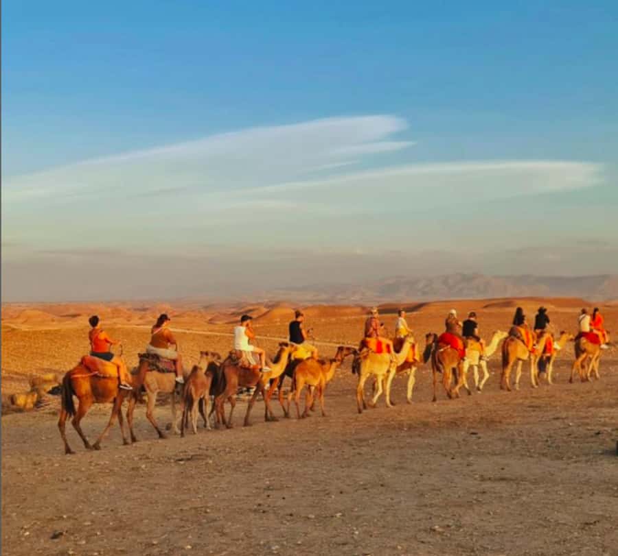 Marrakech: Quad Bike & Camel with dinner show & sunset - Is $56 good value?