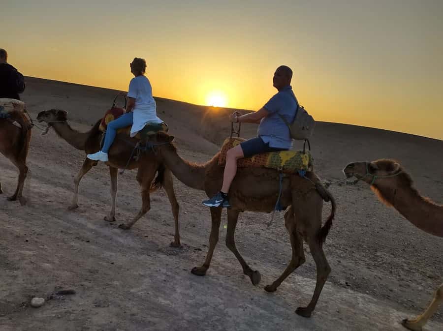 Marrakech: Quad Bike & Camel with dinner show & sunset - The 45-minute drive from Marrakech