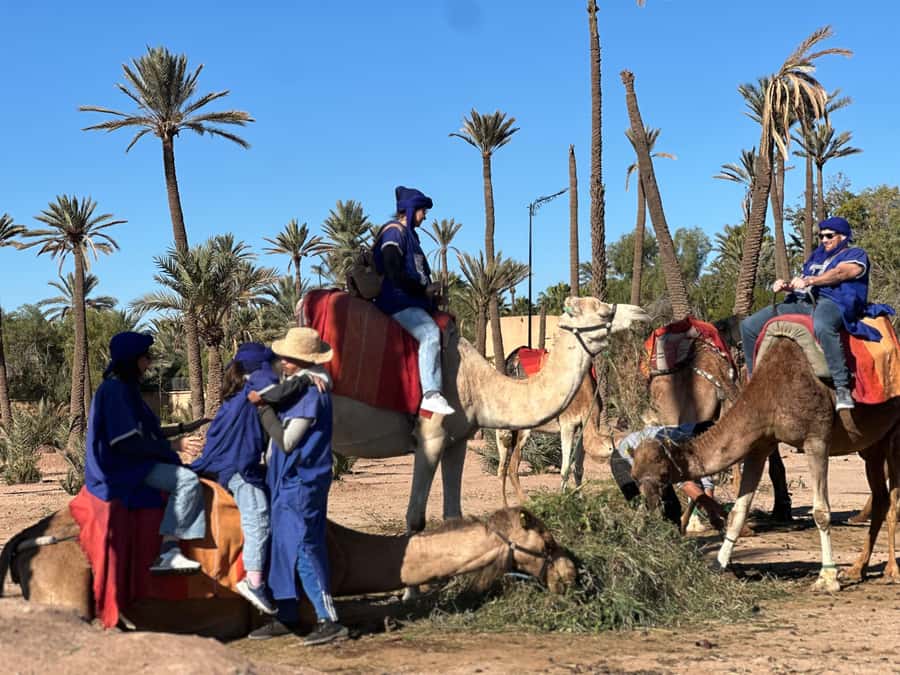 Marrakech: Quad Bike excursion at the sunset with Tea Break - Why the sunset timing matters