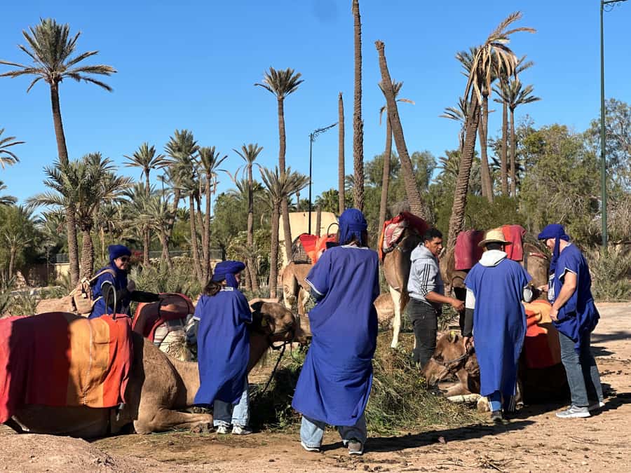 Marrakech: Quad Bike excursion at the sunset with Tea Break - Palm groves, dust, and the Jbilet Desert