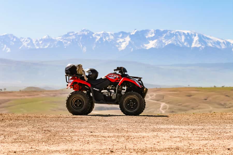 Marrakech Quad Bike Experience: Desert and Palmeraie - Village hospitality and Moroccan tea