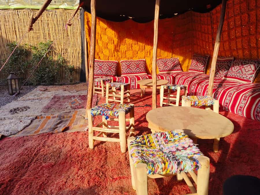 Marrakech: Quad Bike Tour to Palm Oasis and Jbilat Desert - The palm grove photo stop