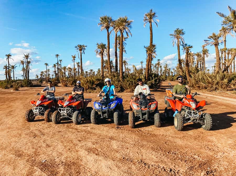 Marrakech: Quad Bike Tour to Palm Oasis and Jbilat Desert - Pickup from Marrakech and the ride to Palmeraie