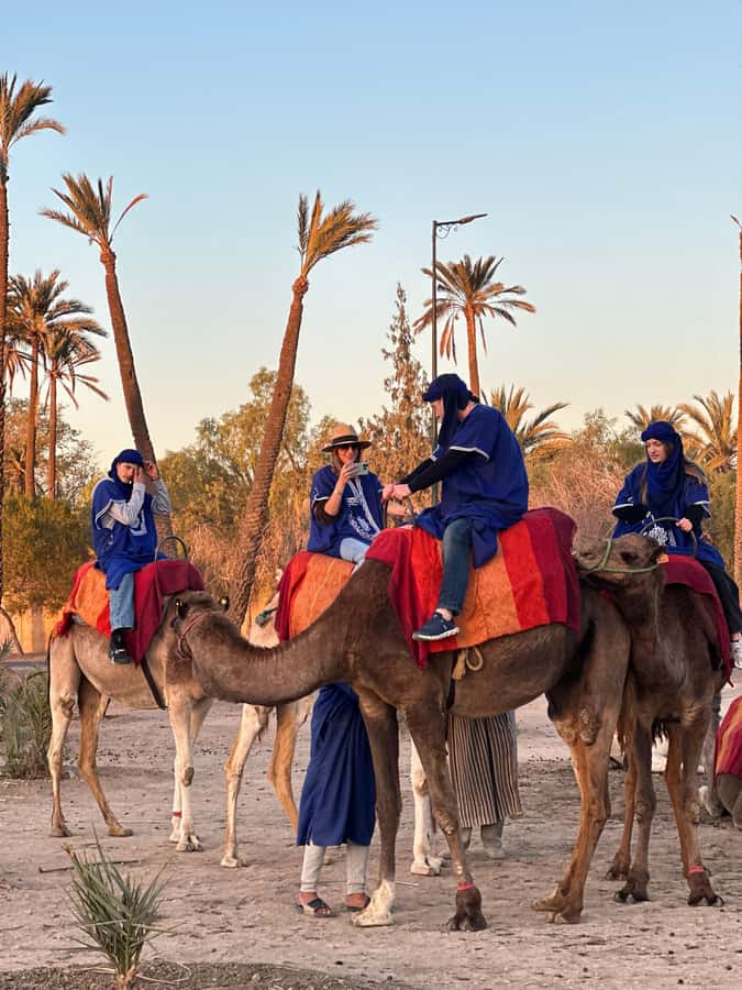 Marrakech:quad excursion at Jbilet desert with Moroccan tea - From palm trees to open Jbilet ground