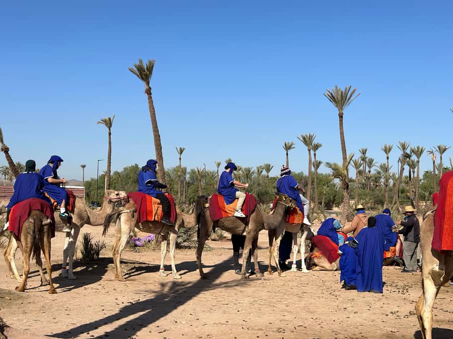 Marrakech:quad excursion at Jbilet desert with Moroccan tea - Who will enjoy this Marrakech quad excursion?