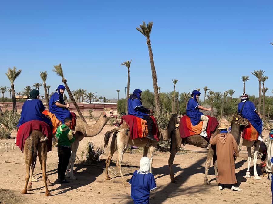 Marrakech:quad excursion at Jbilet desert with Moroccan tea - Is $17 per person good value?