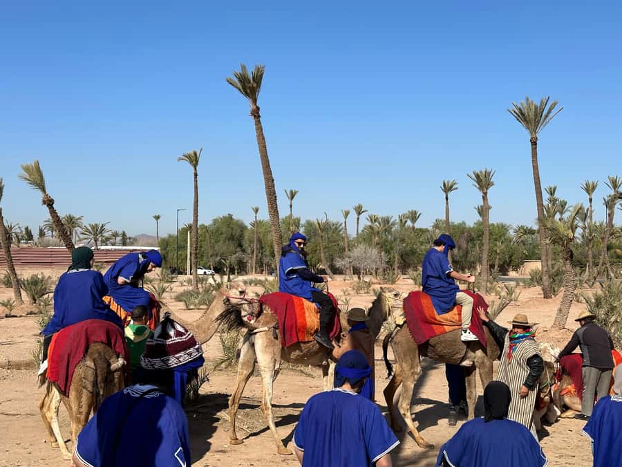 Marrakech:quad excursion at Jbilet desert with Moroccan tea - My verdict: book it if you want simple desert fun