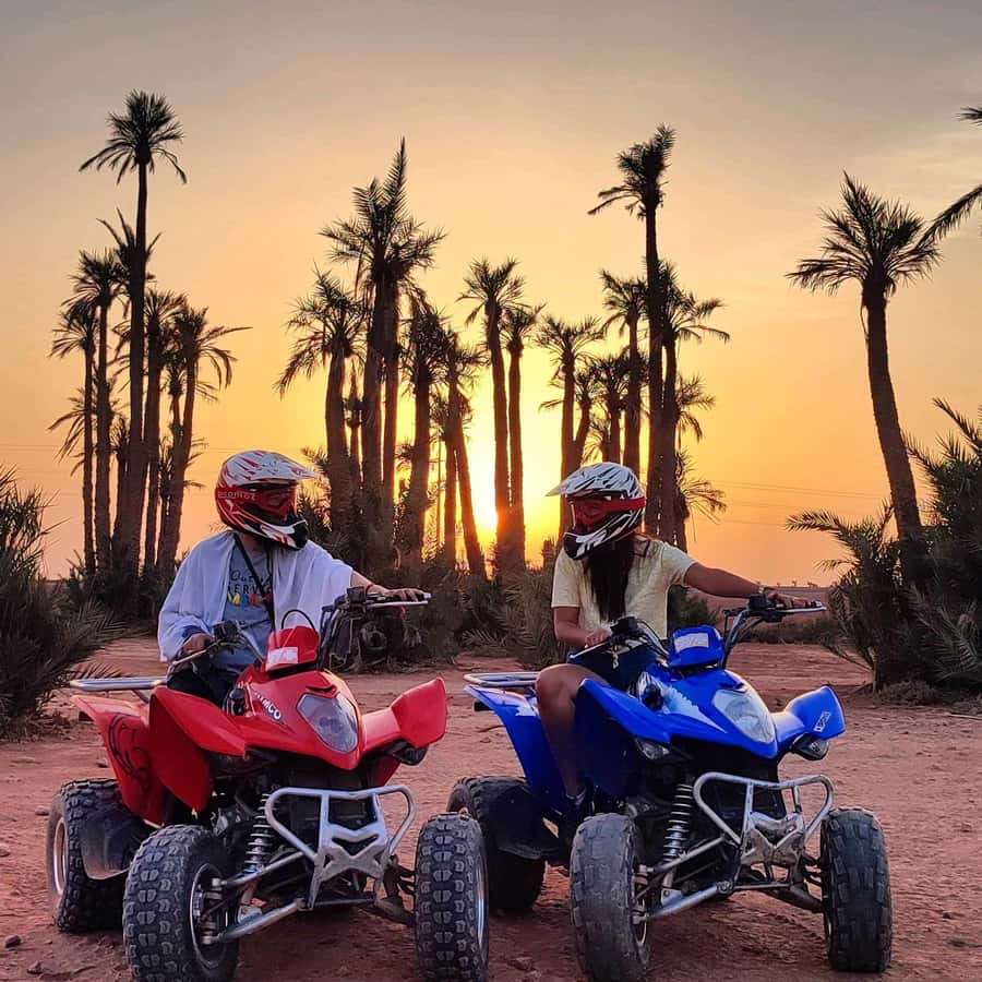 Marrakech: Quad excursion in the palm trees of Marrakech - Riding beyond Marrakech’s palm groves