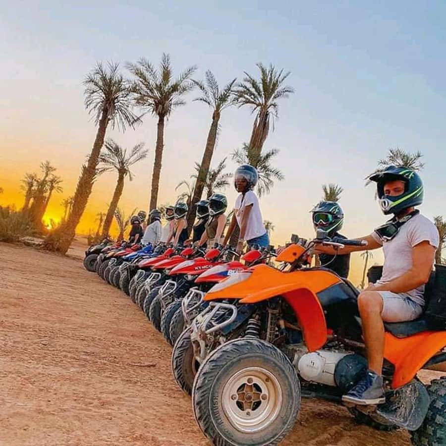 Marrakech: Quad excursion in the palm trees of Marrakech - What happens during the three-hour outing