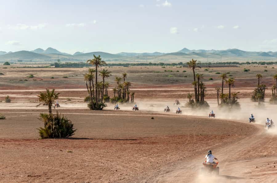 Marrakech: Quad Tour in Jbilets Desert with Palm Grove - Key points to know before booking