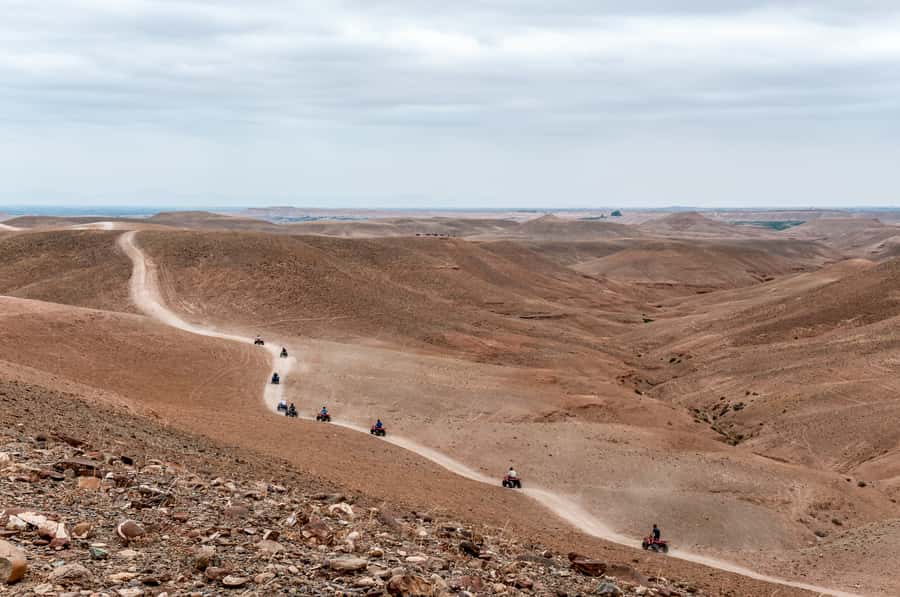 Marrakech: Quad Tour in Jbilets Desert with Palm Grove - Mint tea, biscuits, and the local house stop