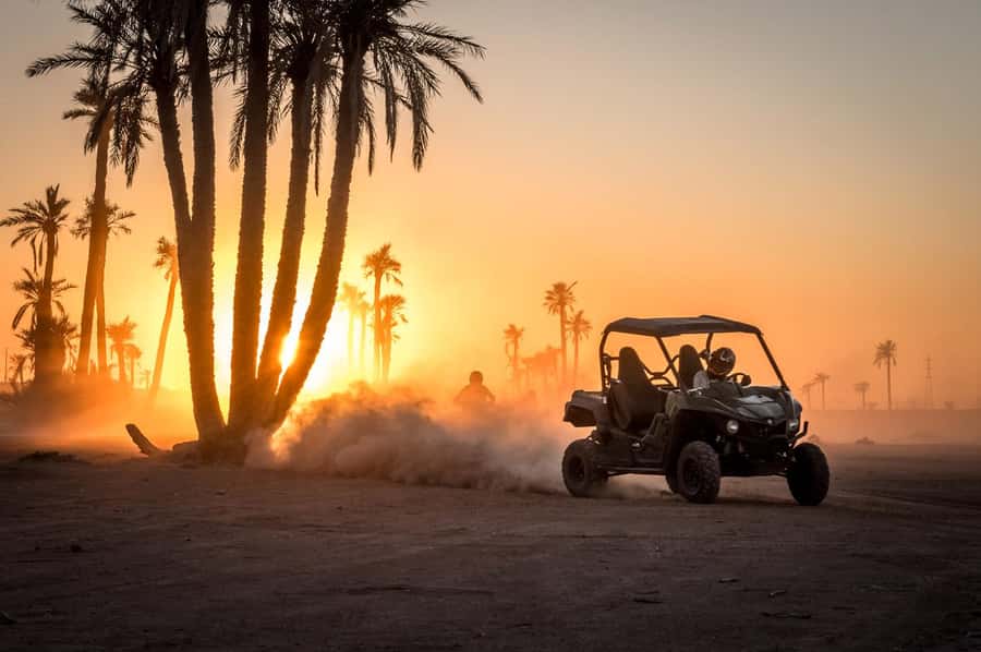 Marrakech : Ride buggy in the desert of the palm grove - Key points to know