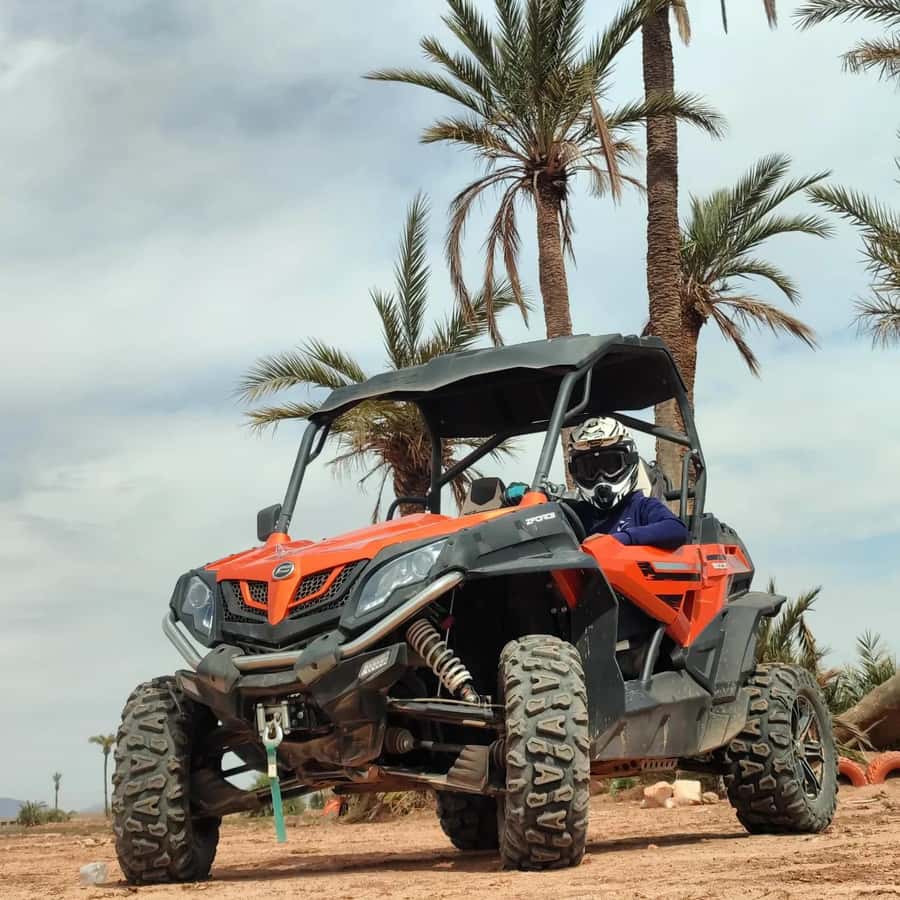 Marrakech : Ride buggy in the desert of the palm grove - Sharing the buggy and judging the $40 price
