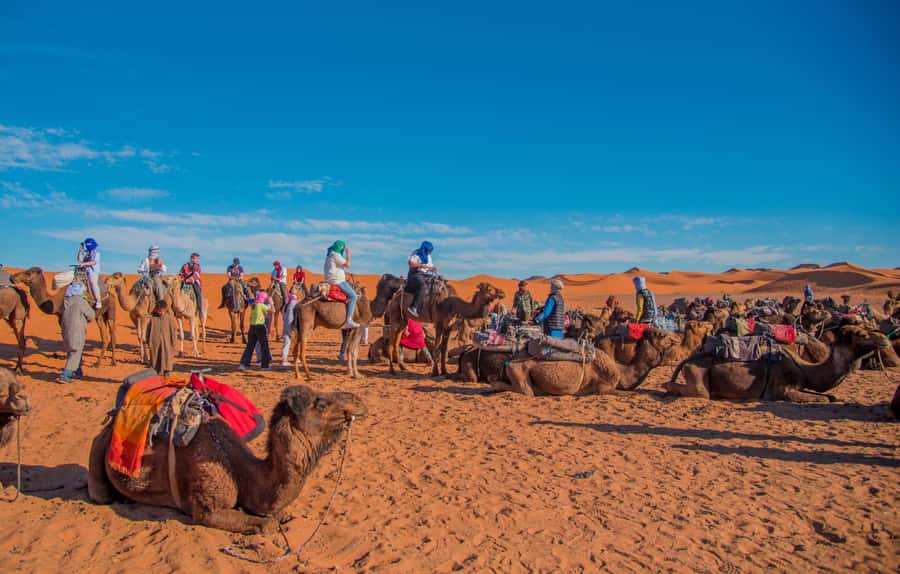 Marrakech to Fes: 3-Day Merzouga Desert Camel & Sandboarding - Crossing the High Atlas to Ait Benhaddou