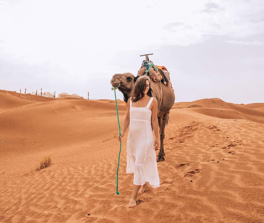 Marrakech to Fes: Quad, Dinner, Camel, 3-Day Desert Tour - Todra Gorge and the road to Merzouga