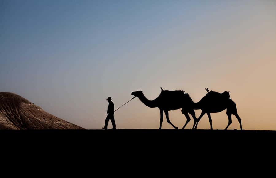 Marrakesh: Agafay Desert Quad & Camel Tour with Dinner - Key points to know before booking