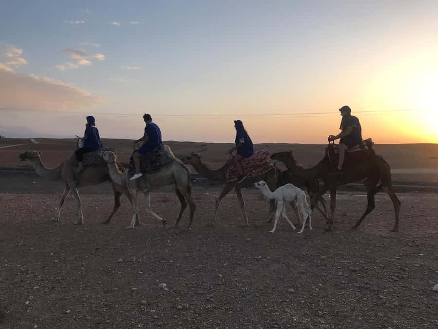 Marrakesh: Agafay Desert Quad & Camel Tour with Dinner - Berber tent dinner and firelight