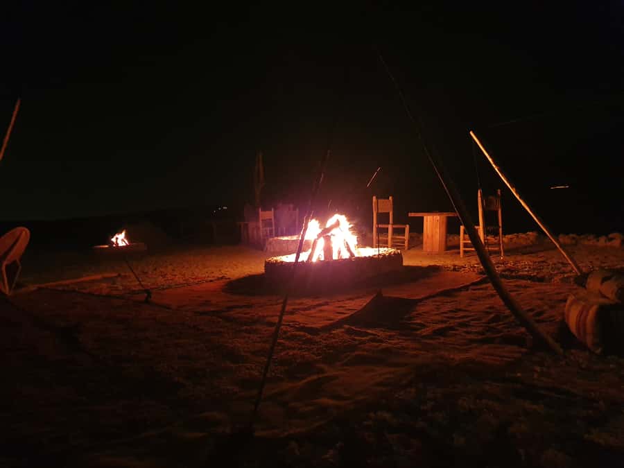 Marrakesh: Agafay Desert Quad & Camel Tour with Dinner - Who should book this Agafay outing?