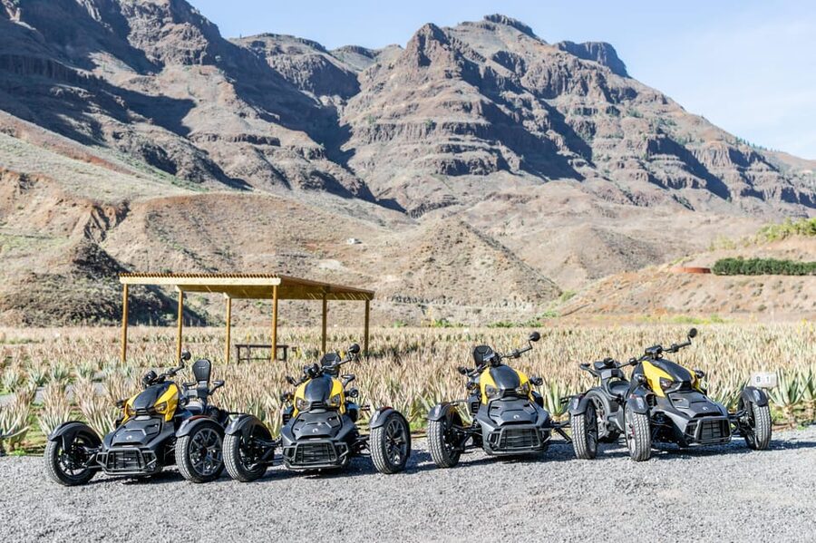 Maspalomas: Ryker Moto Tour to Fataga (Mountain buggy) - Who should book this mountain ride?