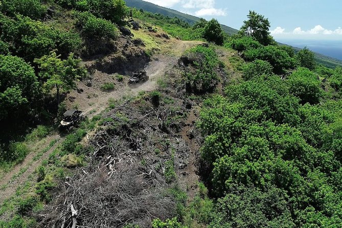 Maui: Lahaina ATV Adventure - From Lahaina to the high trails near Kapalua