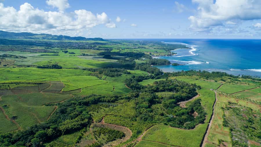 Mauritius: Bel Ombre Nature Reserve Quad Bike Tour - How difficult is the quad route?