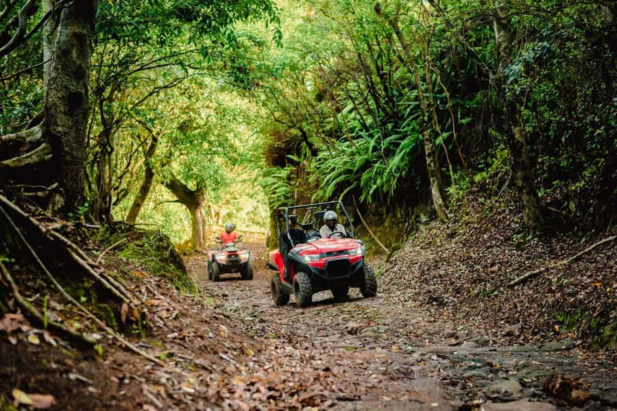 Mauritius: Bel Ombre Nature Reserve Quad Bike Tour - Who should book this adventure?