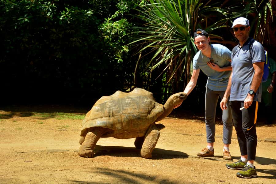 Mauritius: Full-Day Quad Bike Tour with Lunch - Rochester Falls and a Possible Swim
