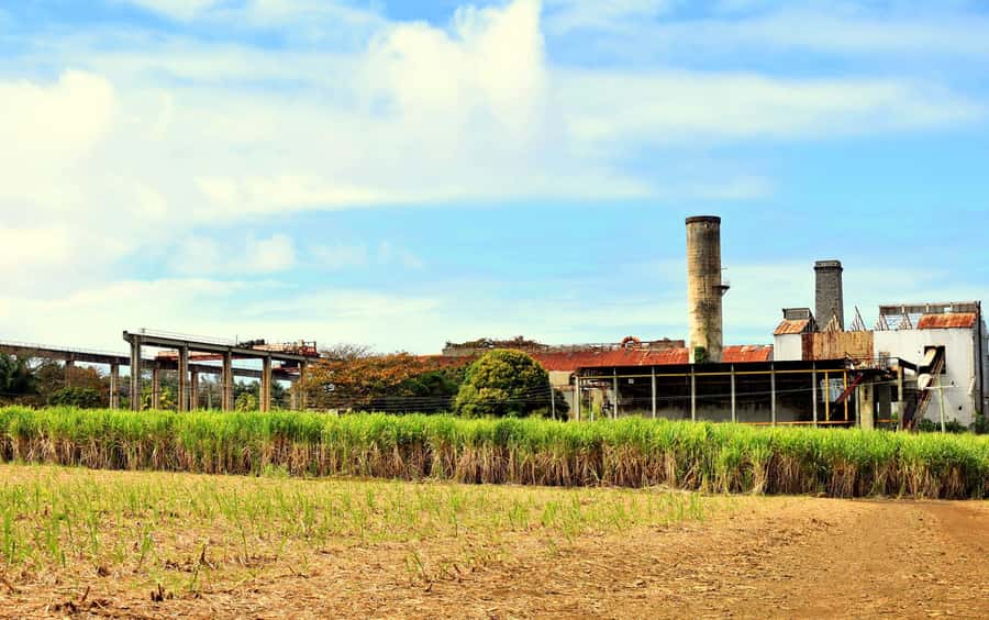 Mauritius: Full-Day Quad Bike Tour with Lunch - Weather Can Change the Whole Character